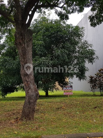 Sutera Palma Alam Sutera Kavling Bagus Dgn Harga Terbagus 18 Juta/M2 Hadap Selatan Luas 240 M²