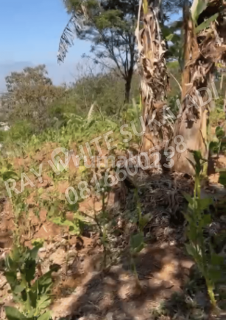 TANAH DI BATARA ASRI, KABUPATEN SUMEDANG