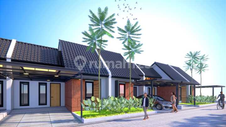 Alocasia di Tingal Townhouse