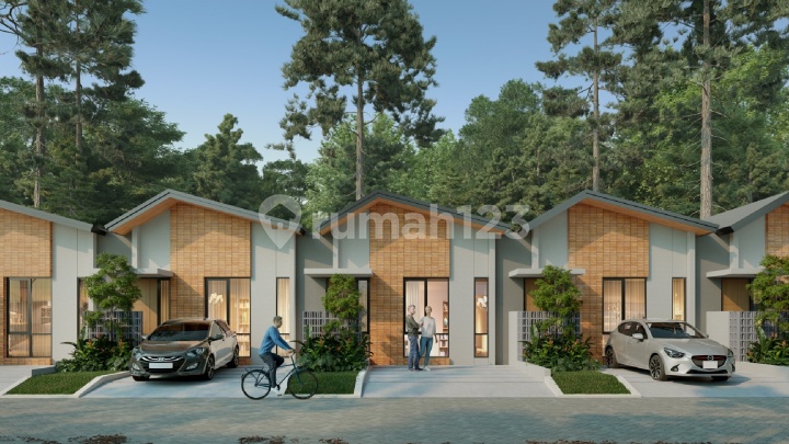 Type Cedar 50 di Serenity Central City Type Cedar 50 di Serenity Central City