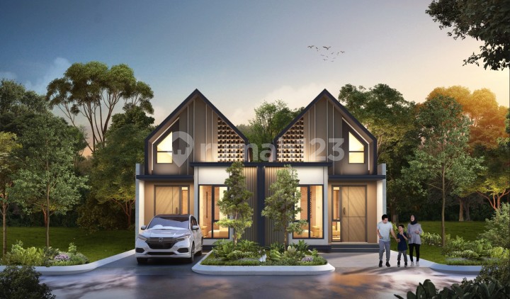 Viola di Parkland Podomoro