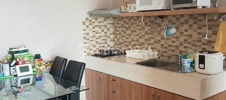 Affordable Apartment Trivium Terrace 1