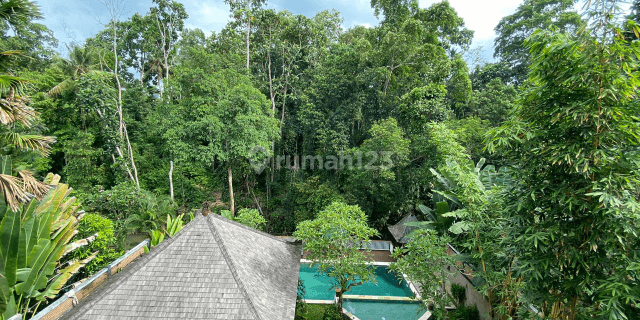 Villa cantik murah, Pantai Nyanyi Pandak Gede Kediri 1