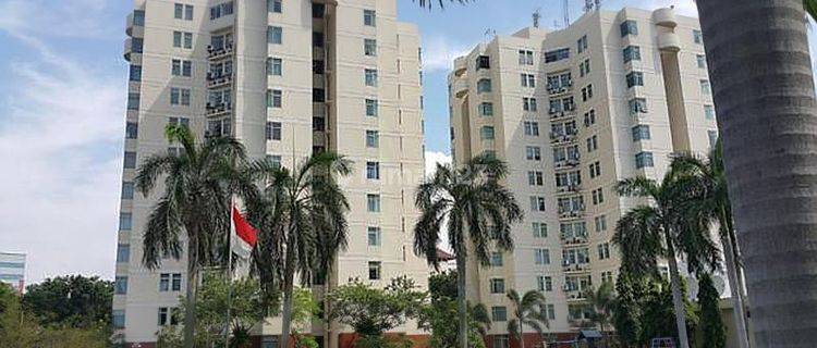 Apartemen Crown Court Lippo Cikarang, Full Furnished 1