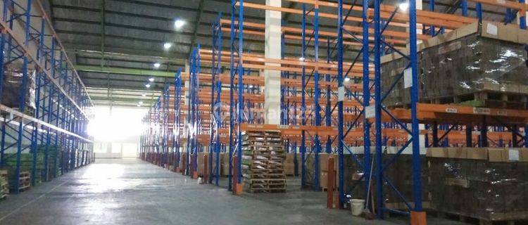 Gudang Siap Pakai 5.100m2 Sentul Bogor Plus Racking dan Loading Dock 1