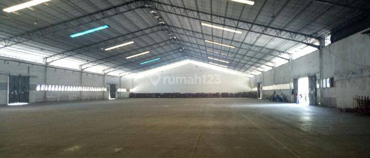 Disewakan Gudang Tambak Sawah Sidoarjo siap pakai 1