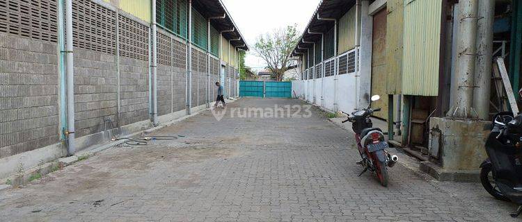 Gudang bagus siap pakai Bisa Container 40ft 1