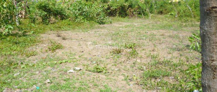 LAND FOR SALE IN SINGARAJA 1