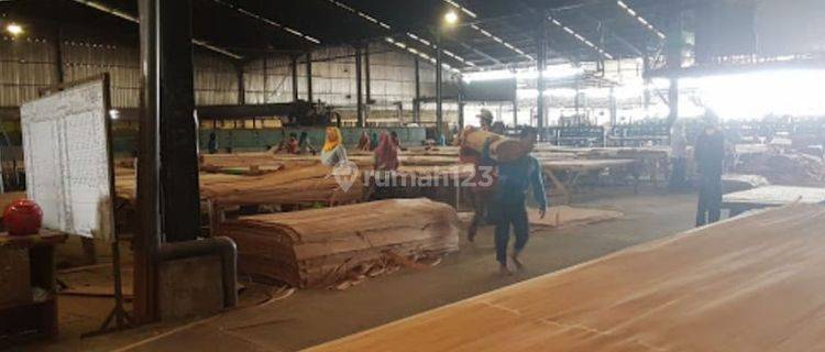 Pabrik Kayu Playwood Di Ngoro Mojokerto 1