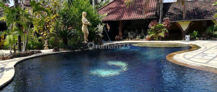 VILLA CANTIK TURUN HARGA DI LOVINA BALI 1