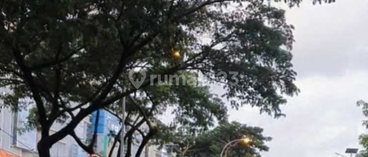 Asia Tropis Shophouse 270m2 Good Certificate of Ownership 1