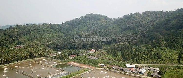 Tambak Luas di Daerah Lampung, Cocok Untuk Pariwisata 1