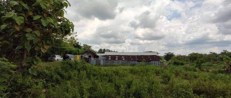 JUAL CEPAT Kandang  Hitung Tanah/ Lahan untuk Gudang 1