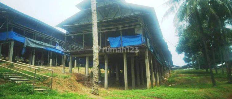 Peternakan Ayam Petelur di Desa Sukaraksa, Kec. Cigudeg, Bogor Barat 1