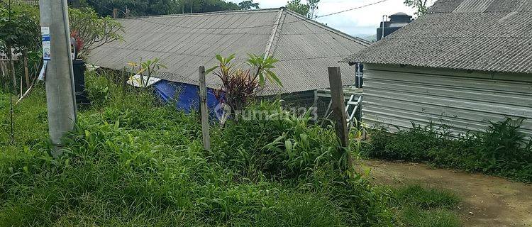 Kandang Ayam Close House Kapasitas 6000 ekor  lokasi Ds.Bangli Baturiti 1