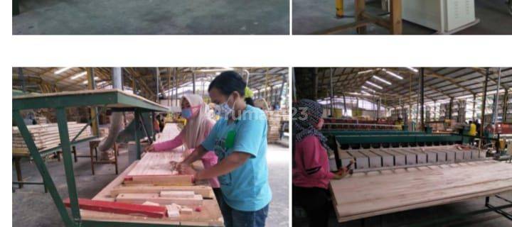 Pabrik Plywood Take Over di Probolinggo Kota 1