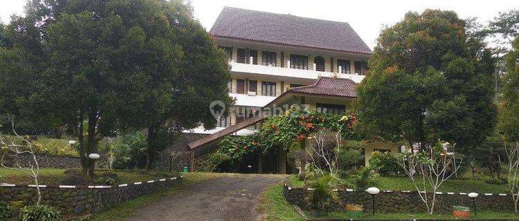  Hotel Resort Luas dan Asri di Bogor 1