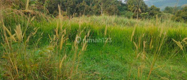 Tanah Kebun  dilepas Murah Meriah di Kawasan Jonggol  Bogor Jawa Barat 1