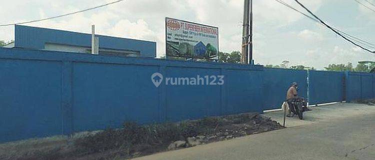 Gudang Baru di Bantar Panjang Tigaraksa Tangerang Banten 1