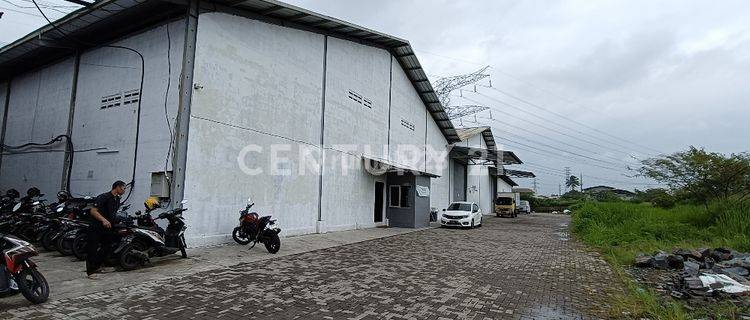 Gudang Bagus Siap Pakai Lok M Toha, Masuk Container 40 1