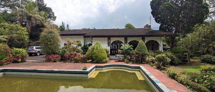 Villa Coolibah Puncak Cipanas dekat Raja Outlet dan Brasco 1