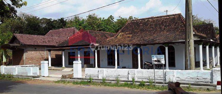 Dijual Rumah Di Kartoharjo Lahan Luas Cocok Untuk Usaha / Kuliner 1