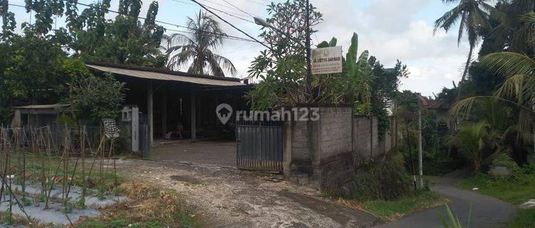 Turun Harga Rumah Dan Gudang Dekat Rencana Jalan Tol Mengwi 1