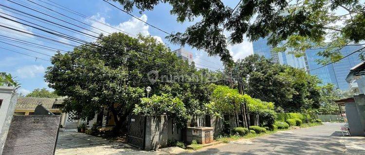 Rumah Hijau  Semi Furnished Bagus Taman Luas Di Cilandak 1