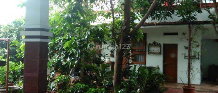 Rumah  full jati dan marmer  model jawa di  Bintaro tangerang 1