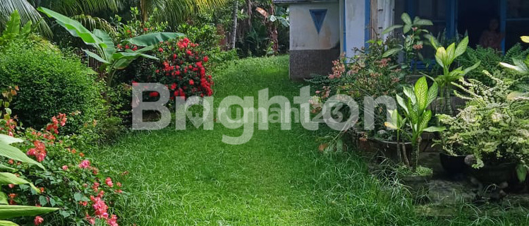 TANAH LUAS PINGGIR JALAN UTAMA BESERTA RUMAHNYA 1