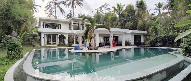 MURAH BANGET VILLA LT: 2500M2 HARGA CUMA 12,5MILYAR AJA LOKASI UBUD 1