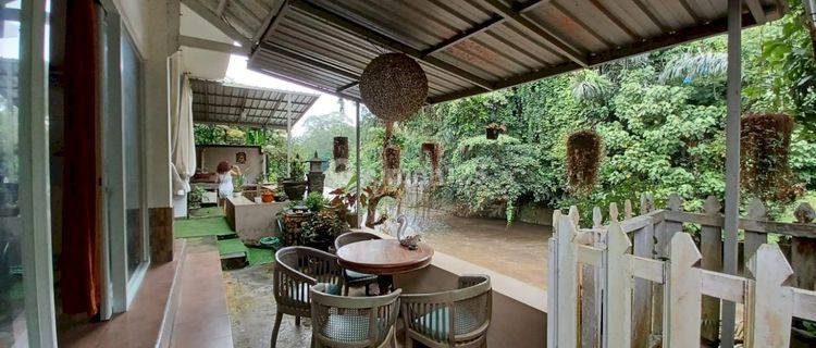 House With Private Ayung River View At Penatih Denpasar Timur 1