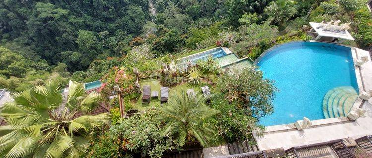 Hotel 1.8 hektar di ubud 1