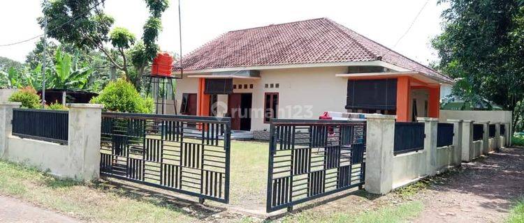 Rumah di jual dengan taman luas 1
