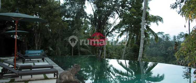 Villa Jual Lokasi Payangan 1