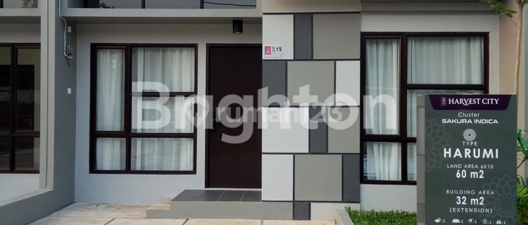 HARVEST CITY TYPE SAKURA INDICA HARUMI 1