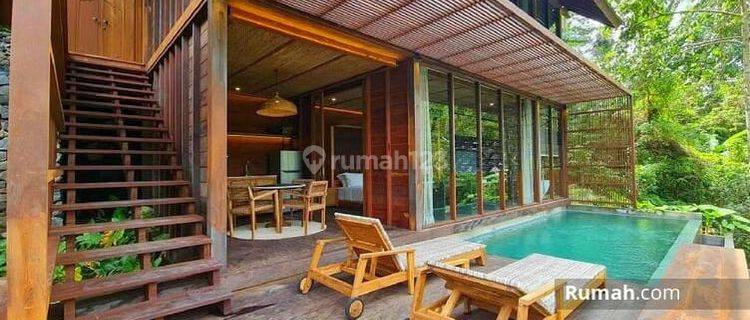 Villa diubud dengan view sungai dan hutan langsung  1