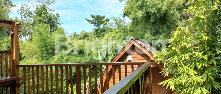 Villa Super Mewah Di Kota Denpasar Terasa dI Villa Ubud dengan View Hutan  yang sejuk 1