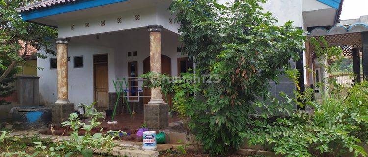 Dijual Cepat Rumah Cocok Buat Usaha Di Ciawi Gajah 1