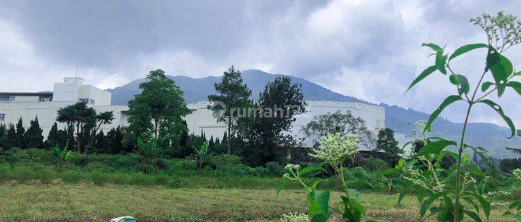 Kavling Komersial 1,5 H Puncak, Cipanas, Jawa Barat 1