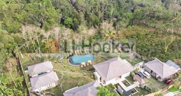 Luxury Villa For Sale At Payangan Gianyar 1