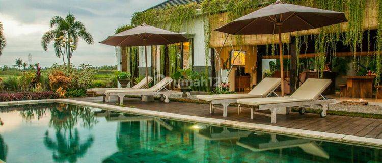 Tropical Villa With Beautiful Rice Field View Furnished 1