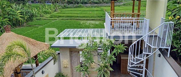 Villa + Kolam Renang View Sawah  Badung Bali 1