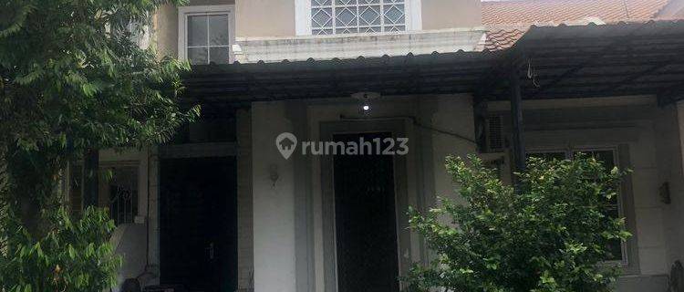 Rumah Sewa Bagus Murah 1