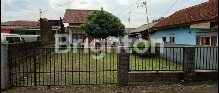 RUMAH NYAMAN DENGAN HALAMAN YANG LUAS UNTUK DI HUNI ATAU BUKA USAHA 1