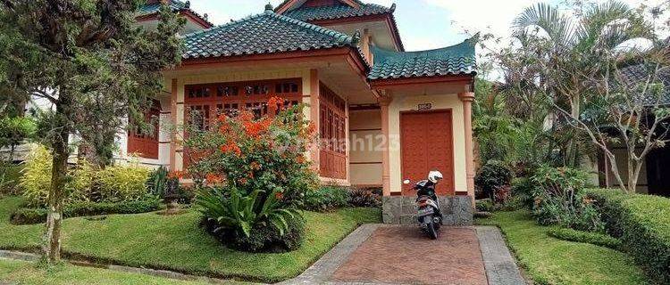 Villa Nyaman Siap Huni Baru Renovasi di Kota Bunga Puncak 1