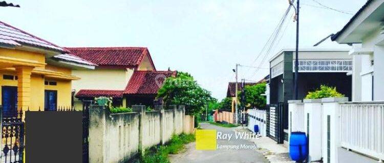 Rumah murah dijalan Pulau Legundi Sukarame Bandarlampung 1