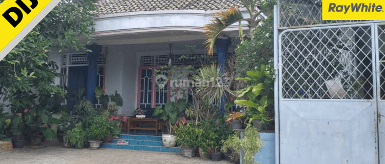 RUMAH DI KEDATON Bnadar Lampung 1