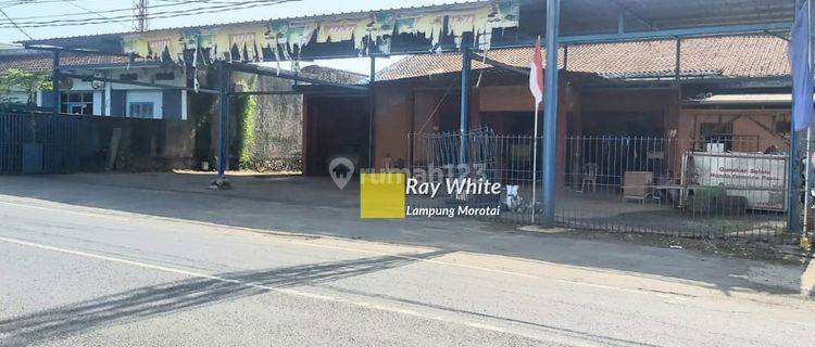 rumah dan kosan urip sumoharjo 1