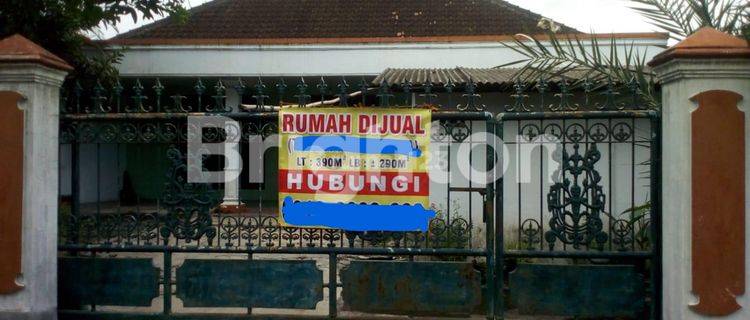 DI  RUMAH BESAR NUANSA PEDESAAN 1